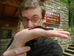 Click for Large Version