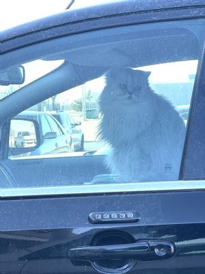 Click for Large Version