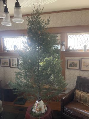 Click for Large Version