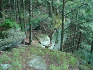 Click for Large Version