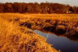 Click for Large Version