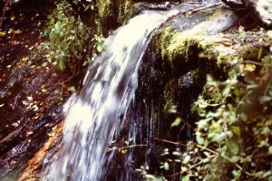 Click for Large Version