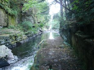 Click for Large Version