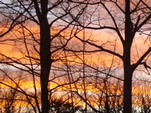 Click for Large Version