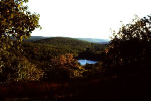 Click for Large Version