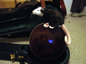 Click for Large Version