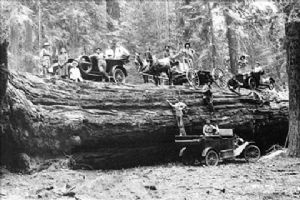 Click for Large Version