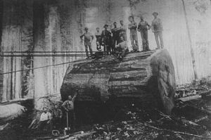 Click for Large Version