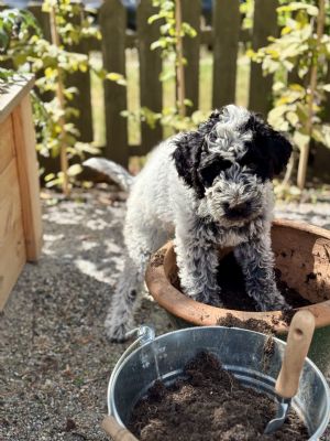 Click for Large Version