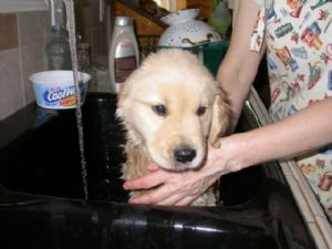 Click for Large Version