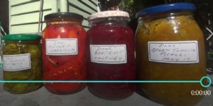 Click for Large Version