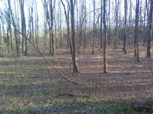 Click for Large Version