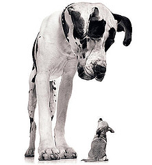 Click for Large Version