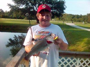 Click for Large Version