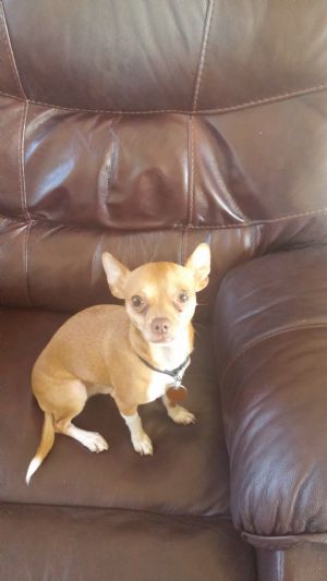 Click for Large Version