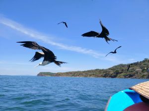 Click for Large Version