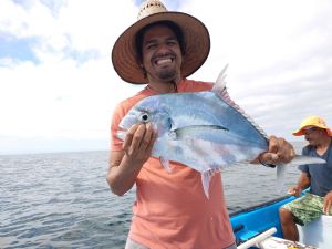 Click for Large Version