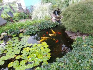 Click for Large Version