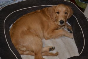 Click for Large Version