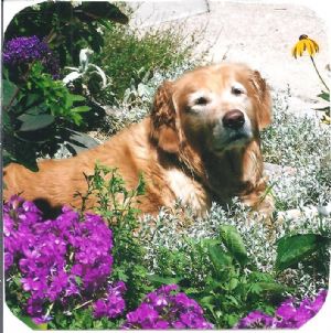 Click for Large Version