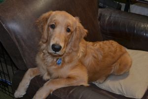 Click for Large Version