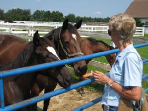 Click for Large Version