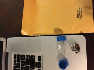 Click for Large Version