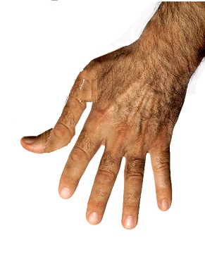 Click for Large Version