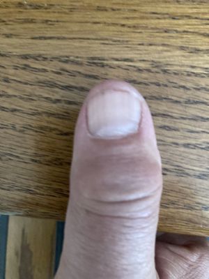 Click for Large Version