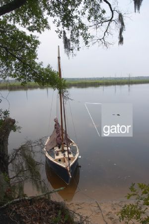 Click for Large Version