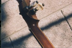 Click for Large Version