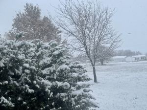 Click for Large Version