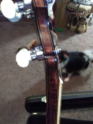 Click for Large Version