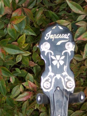 Click for Large Version