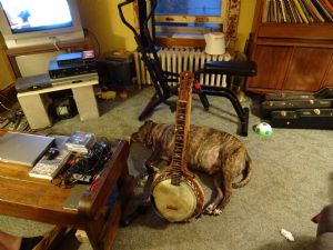 Click for Large Version