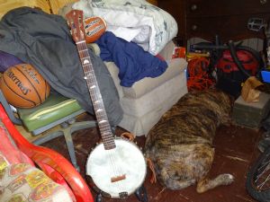 Click for Large Version