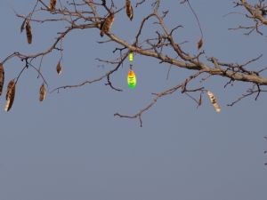 Click for Large Version