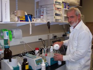 Click for Large Version