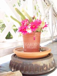 View John3.14-18's Homepage