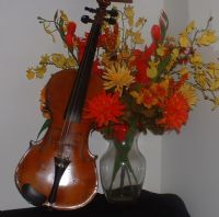 View Allbluegrass4me's Homepage
