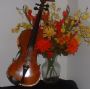 Allbluegrass4me