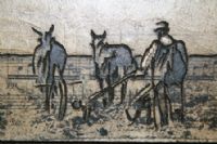 View Peter Lynch's Homepage