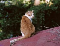 View prisella's Homepage