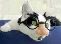 View nascarkitty's Homepage