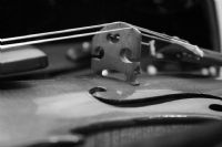 View ImmaHogg's Homepage