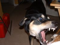 View beanseo's Homepage