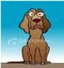 hound