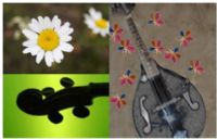 View daisypicker's Homepage
