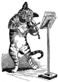 View fiddle cat's Homepage
