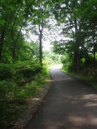 View ehuber's Homepage